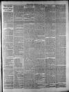 Widnes Weekly News and District Reporter Saturday 19 July 1884 Page 3