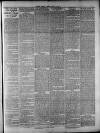 Widnes Weekly News and District Reporter Saturday 09 August 1884 Page 3