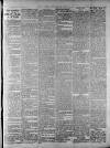 Widnes Weekly News and District Reporter Saturday 27 September 1884 Page 3