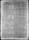 Widnes Weekly News and District Reporter Saturday 03 January 1885 Page 3