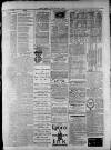 Widnes Weekly News and District Reporter Saturday 03 January 1885 Page 7