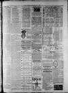 Widnes Weekly News and District Reporter Saturday 10 January 1885 Page 7
