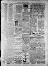 Widnes Weekly News and District Reporter Saturday 31 January 1885 Page 7
