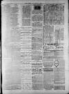Widnes Weekly News and District Reporter Saturday 21 February 1885 Page 7