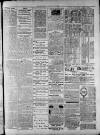 Widnes Weekly News and District Reporter Saturday 14 March 1885 Page 7