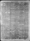 Widnes Weekly News and District Reporter Saturday 06 June 1885 Page 3