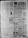 Widnes Weekly News and District Reporter Saturday 06 June 1885 Page 7