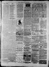 Widnes Weekly News and District Reporter Saturday 13 June 1885 Page 7
