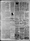 Widnes Weekly News and District Reporter Saturday 04 July 1885 Page 7