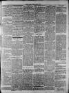 Widnes Weekly News and District Reporter Saturday 11 July 1885 Page 5