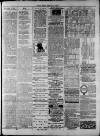Widnes Weekly News and District Reporter Saturday 11 July 1885 Page 7