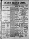 Widnes Weekly News and District Reporter Saturday 01 August 1885 Page 1