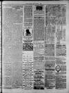 Widnes Weekly News and District Reporter Saturday 01 August 1885 Page 7