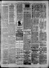 Widnes Weekly News and District Reporter Saturday 08 August 1885 Page 7