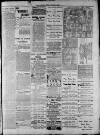 Widnes Weekly News and District Reporter Saturday 24 October 1885 Page 7