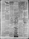 Widnes Weekly News and District Reporter Saturday 21 November 1885 Page 7