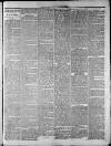 Widnes Weekly News and District Reporter Saturday 05 December 1885 Page 3