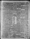 Widnes Weekly News and District Reporter Saturday 02 January 1886 Page 3