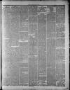 Widnes Weekly News and District Reporter Saturday 13 March 1886 Page 3