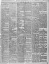 Widnes Weekly News and District Reporter Saturday 06 April 1895 Page 2
