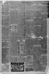 Widnes Weekly News and District Reporter Saturday 05 February 1898 Page 3