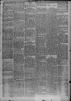 Widnes Weekly News and District Reporter Saturday 04 February 1899 Page 5