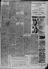 Widnes Weekly News and District Reporter Saturday 25 March 1899 Page 7