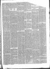 Ashton Reporter Saturday 01 April 1865 Page 5