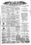 Greenock Advertiser Friday 27 December 1878 Page 1
