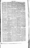 Chelsea News and General Advertiser Saturday 29 July 1865 Page 3