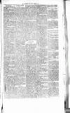 Chelsea News and General Advertiser Saturday 29 July 1865 Page 7