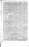Chelsea News and General Advertiser Saturday 12 August 1865 Page 6