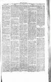 Chelsea News and General Advertiser Saturday 12 August 1865 Page 7