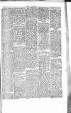 Chelsea News and General Advertiser Saturday 26 August 1865 Page 3