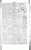 Chelsea News and General Advertiser Saturday 02 September 1865 Page 5