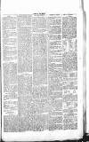 Chelsea News and General Advertiser Saturday 16 September 1865 Page 3