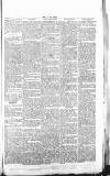 Chelsea News and General Advertiser Saturday 16 September 1865 Page 7