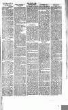 Chelsea News and General Advertiser Saturday 23 September 1865 Page 5