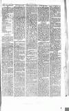 Chelsea News and General Advertiser Saturday 07 October 1865 Page 5