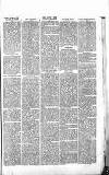 Chelsea News and General Advertiser Saturday 14 October 1865 Page 5