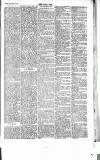 Chelsea News and General Advertiser Saturday 04 November 1865 Page 3