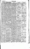 Chelsea News and General Advertiser Saturday 04 November 1865 Page 7