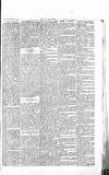 Chelsea News and General Advertiser Saturday 11 November 1865 Page 5