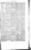 Chelsea News and General Advertiser Saturday 16 December 1865 Page 5