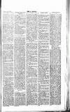 Chelsea News and General Advertiser Saturday 23 December 1865 Page 3