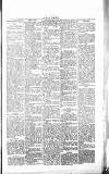 Chelsea News and General Advertiser Saturday 23 December 1865 Page 5