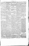 Chelsea News and General Advertiser Saturday 30 December 1865 Page 5