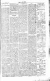Chelsea News and General Advertiser Saturday 06 January 1866 Page 7