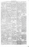 Chelsea News and General Advertiser Saturday 20 January 1866 Page 5