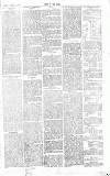 Chelsea News and General Advertiser Saturday 20 January 1866 Page 7